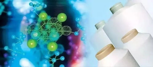 生物基纖維與非織造布 技術(shù)融合的創(chuàng)新火花