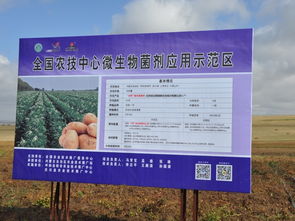 技術(shù)推廣服務(wù)中心 加速創(chuàng)新與應(yīng)用的橋梁