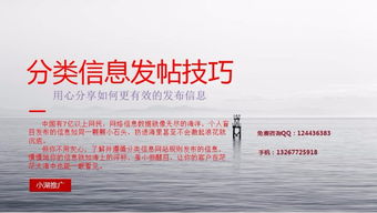 深圳撲來貓小湖科技推廣軟件 功能、試用與價(jià)格全面解析