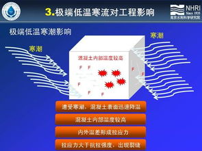 科技賦能未來 第六屆新技術(shù)推廣會(huì)掀起創(chuàng)新熱潮