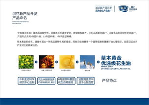 淇花食用油新產品開發及技術推廣策略提案