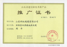 地?zé)犭娎|榮獲山東省建設(shè)新技術(shù)新產(chǎn)品推廣證書(shū) 綠色科技引領(lǐng)建筑節(jié)能新篇章